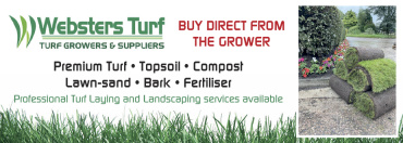 Webster’s Turf
