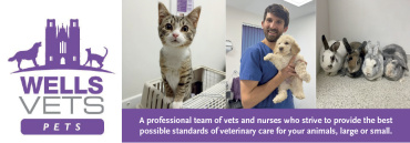 Wells Vets