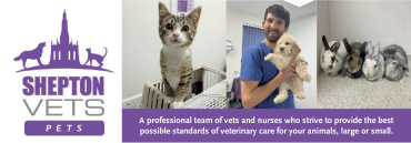 Shepton Vets