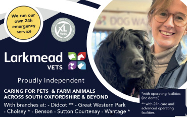 Larkmead Vets