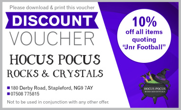 Hocus Pocus Rocks and Crystals Hocus Pocus Rocks and Crystals